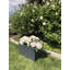 Boîte à fleurs Fuller-33045155-33045158
