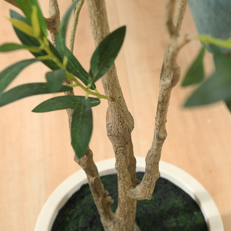 Altman Faux Olive Tree with White Planter, 72'' H X 9.5'' W X 9.5'' D