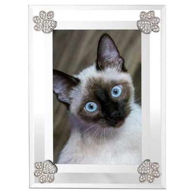 Paw Print Metal Picture Frame
