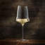 Josephine No. 2 Universal Wine Glass