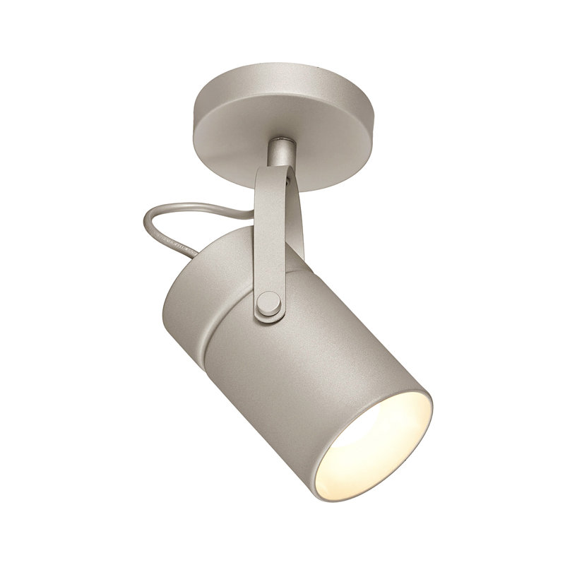 Aruba Spotlight, Silver