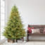 7.5' Lighted Artificial Fir Christmas Tree