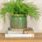 Basya Pot Planter-661671616