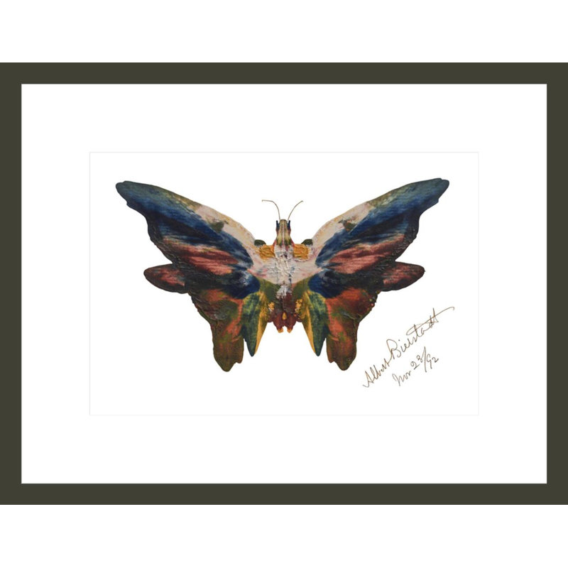 «ButterflyAlbert Bierstadt», estampe numérique encadrée, H 13,02 po x l 16,75 po