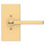 5 H X 5.53125 W X 5 Keyed (Entry) Door Lever-1437389621