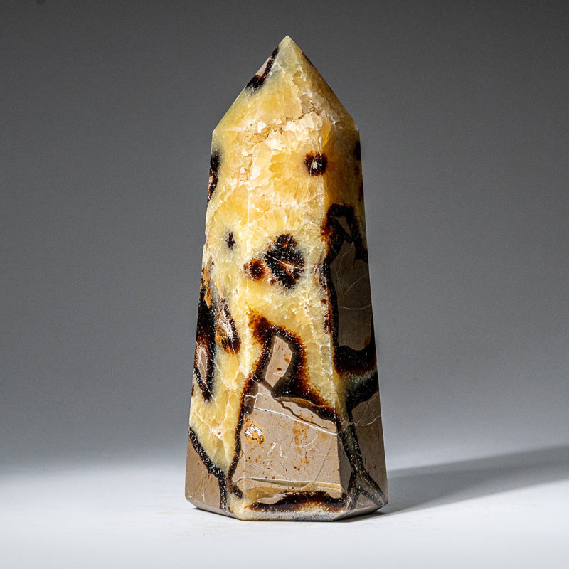 Genuine Polished Septarian Point from Madagascar (1.7 Lbs)