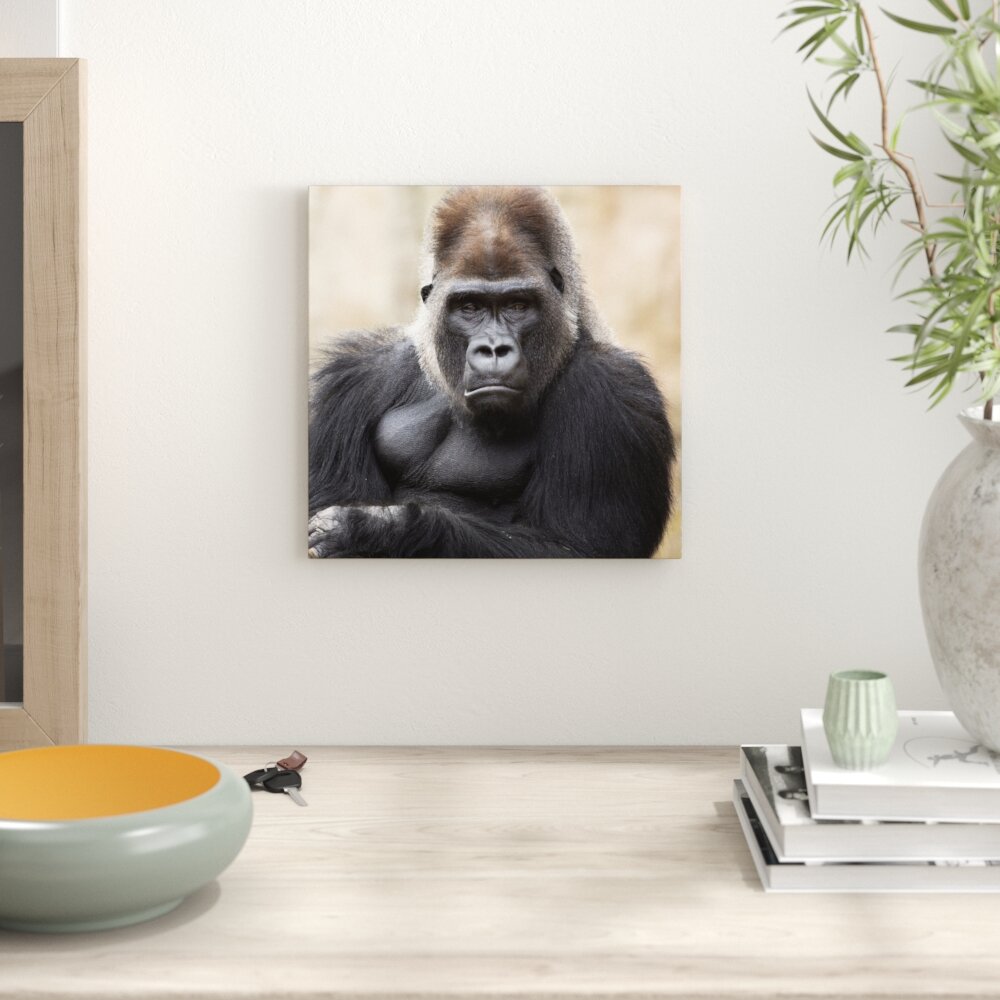 Leinwandbild Gelangweilter Gorilla