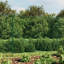 Ashor Metal Wire/Mesh Fence-600812214-600812213-600812212