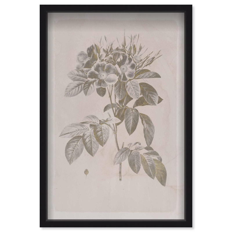 Oliver Gal Golden Bouquet  Floral and Botanical - Luxury Shadowbox Framed Wall Art, Black, 37" H x 25" W