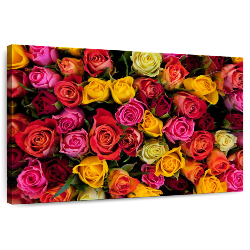 Harnek nuances de roses, H 24 po x l 36 po