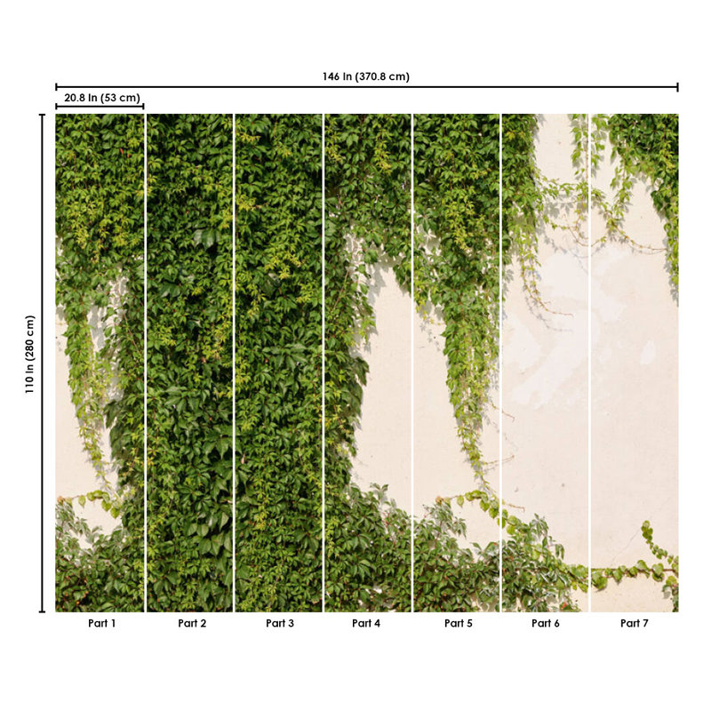Concord Wallcoverings Floral Wall Mural Wallpaper Ivy Wall, 7 Part 392271
