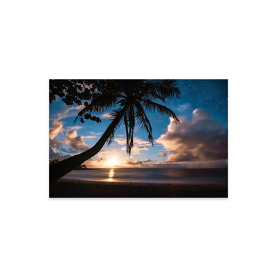 " Paradise At Night " by Lucas Moore