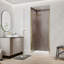 Porte de douche pivotante sans cadre