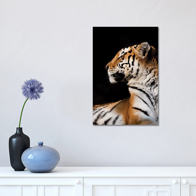 Tiger I by Goran Anastasovski - Wrapped Canvas Print, 30.48 cm H x 45.72 cm W
