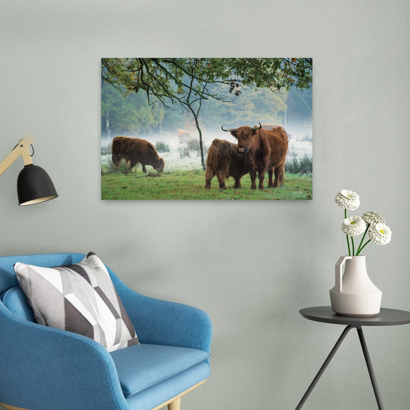 Print, 40.64cm H x 60.96cm W