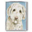 Gossamer II-505096138-505096117-505096116