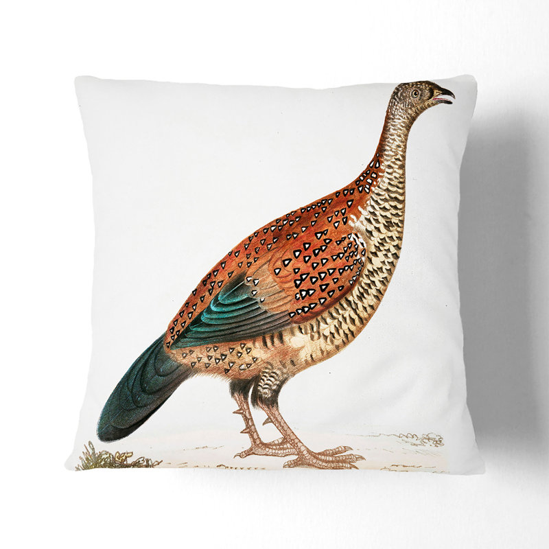 Curria Partridge Illustration Square Throw Cushion, White, 55cm H x 55cm W x 20cm D