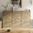 36 Pair Shoe Storage Cabinet With Adjustable Shelves-251859513