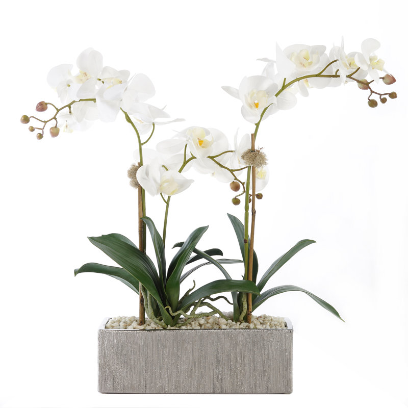 Real Touch Cream White Phalenophsis Orchids With Geodes & White Pebbles Flower Arrangement In Silver Rectangle Planter