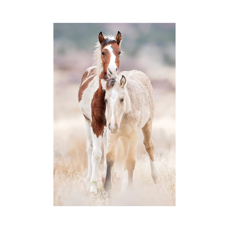 Collection Of Horses X by PHBurchett - Wrapped Canvas Painting, 20.32 cm H x 30.48 cm W
