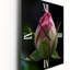 Horloge murale rose délicate Iin The Early Morning - Rose-984953954