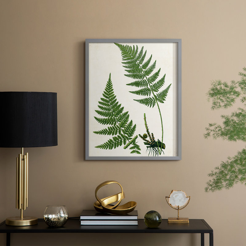 Impression encadrée Fern II - bois massif, Gris, H 21 po x l 17 po