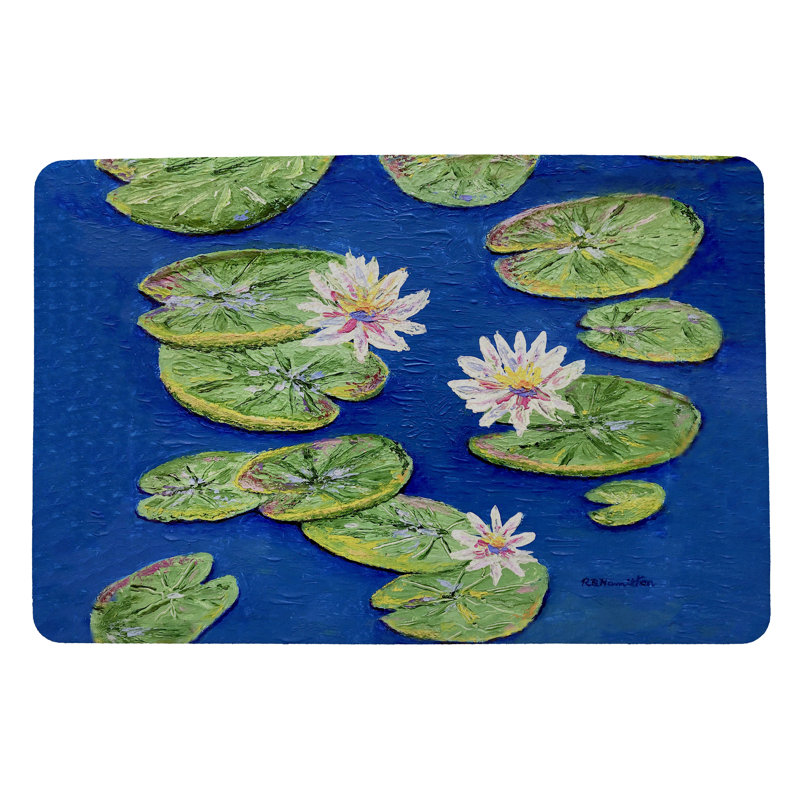 Non-Slip Outdoor Doormat