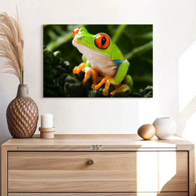 Brampt Tree Frog
