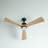 Fellman 52'' Ceiling Fan with LED Lights