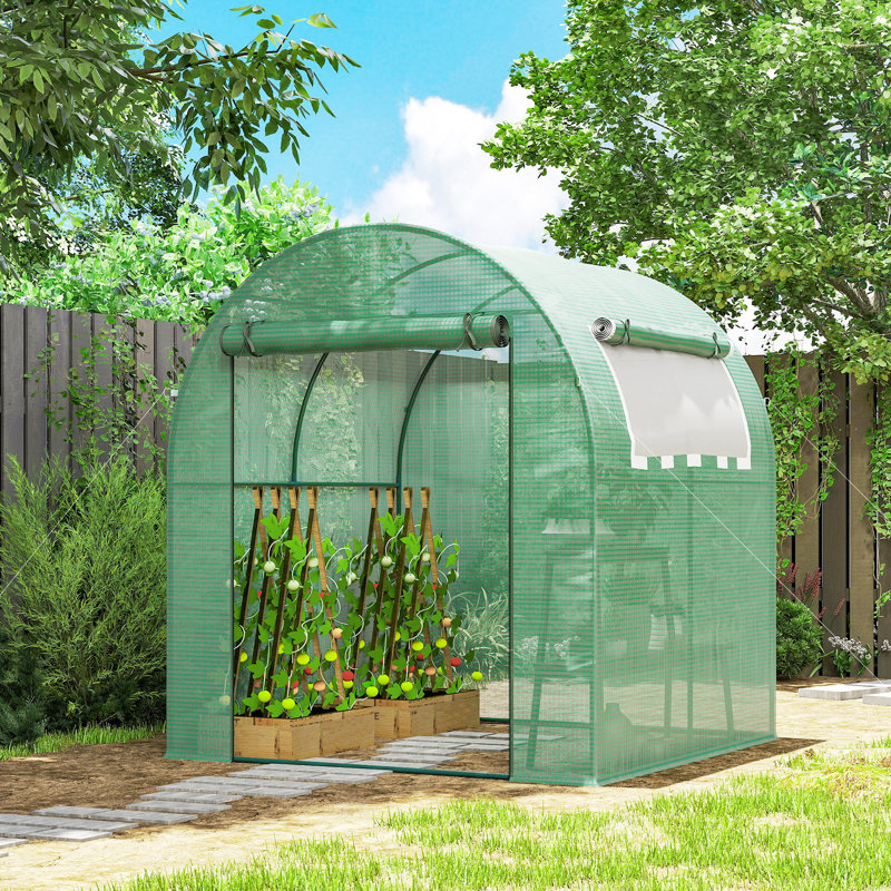 Anll 6 Ft W x 6 Ft D Hobby Greenhouse