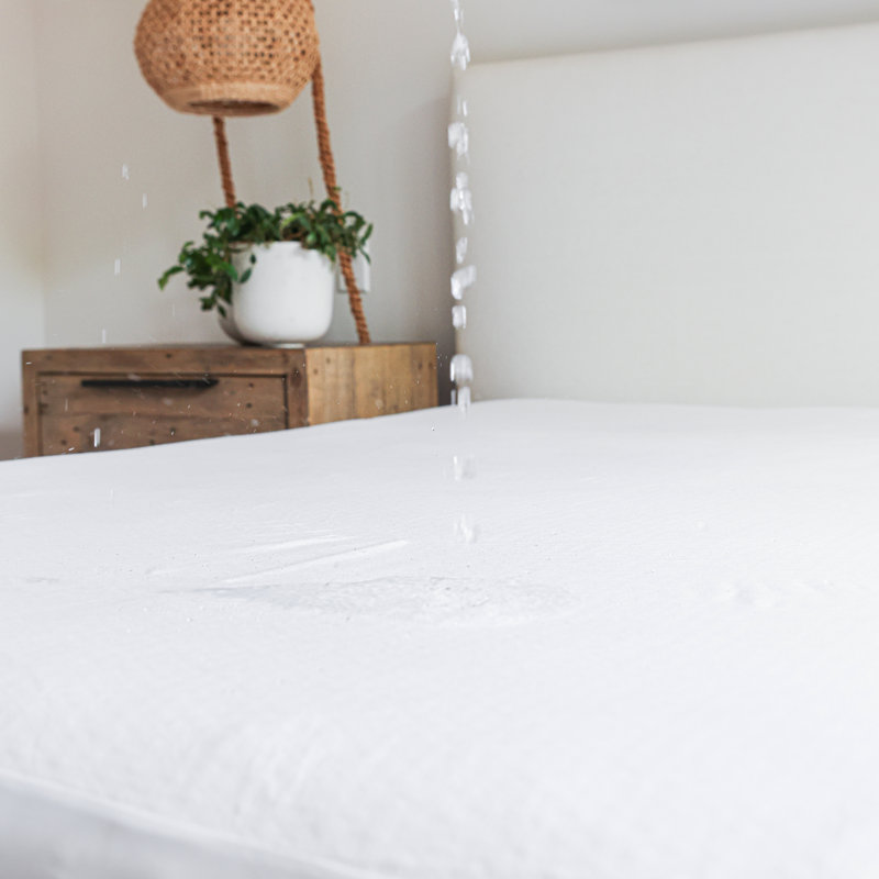 Basics Cooling Cotton Mattress Protector, Queen