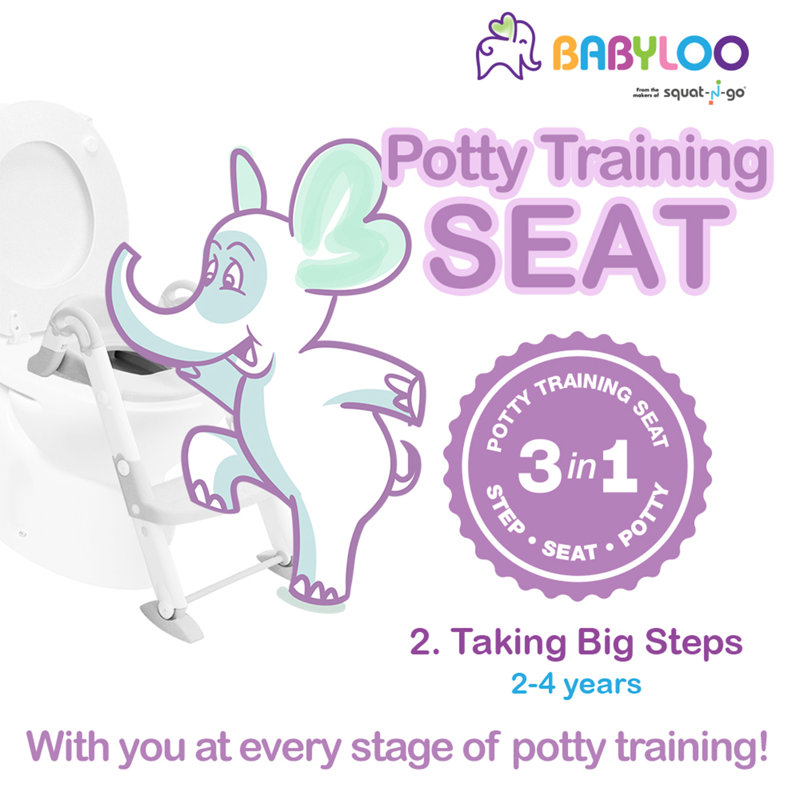 Toilet Safety Frame