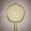 Occasion Single-Function 1.75 Gpm Handshower-882999497