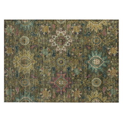 Machine Washable Indoor/Outdoor Jacinto ACN2151 Medallions Rug