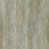 Poised Beige
