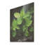 «Herbs Peppermint Breeze I» - Herbes florales sur bois-1815717733