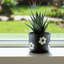 Sagebrook Home 6" Flower Power Planter, Black/White-1888640657