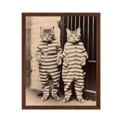 Chats en Prison