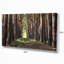 «Even Rows of Pine Tree Forest», reproduction de photo sur toile-19240765