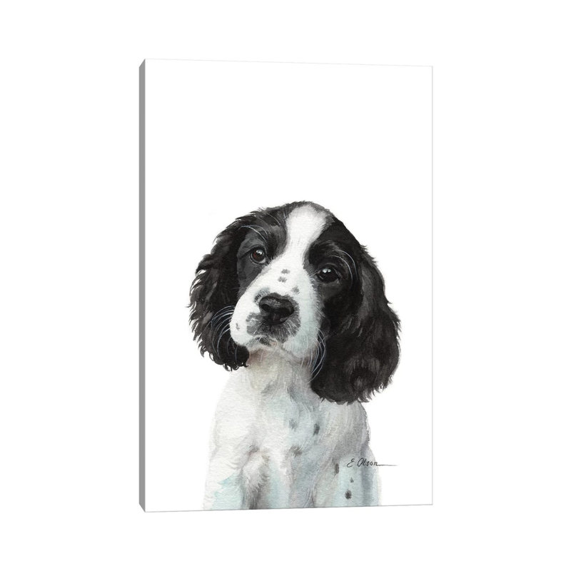 «English Springer Spaniel Puppy», reproduction d'art sur toile tendue, H 40 po x l 26 po x P 1,5 po
