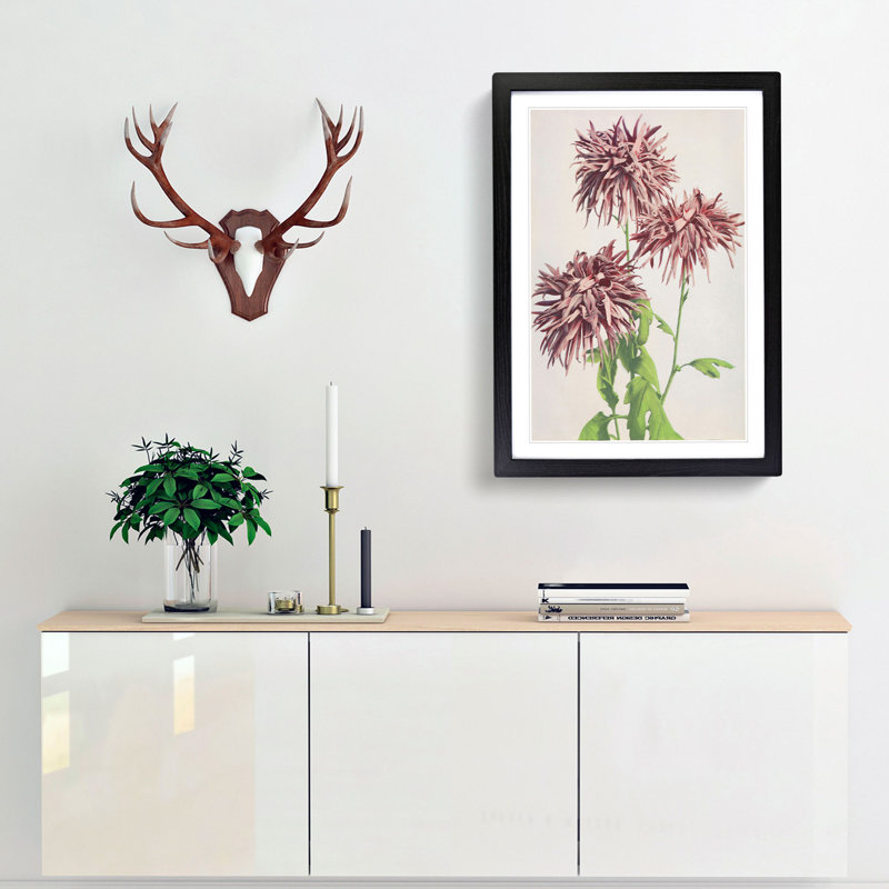 Pink Chrysanthemum Flowers by Ogawa Kazumasa - Picture Frame Graphic Art Print, 65cm H x 48cm W x 2cm D, Black Framed