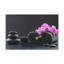 Wall Art on Canvas-316842436
