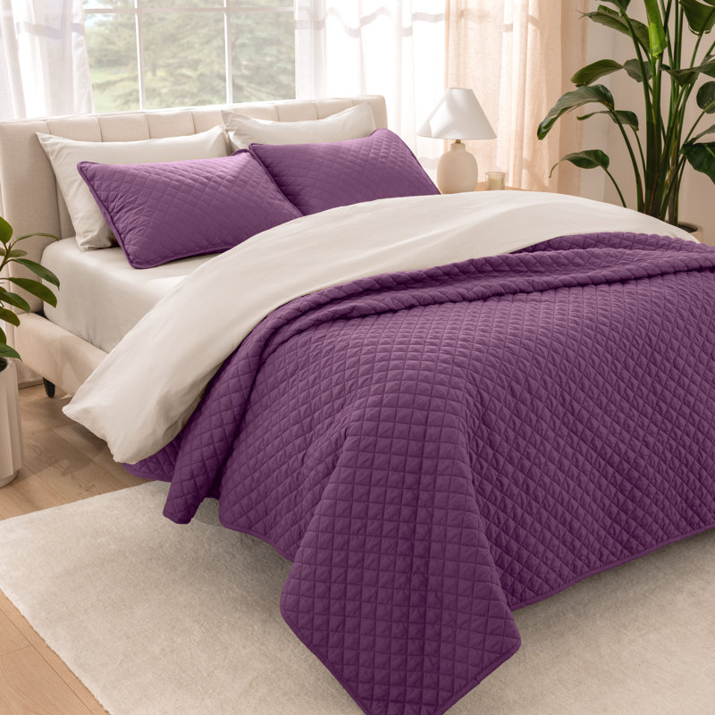 Ensemble de couvre-lit moderne et contemporain en microfibre 3 pièces , Prune