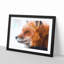 Profile of a Red Fox - Framed Print-56758549-56758548