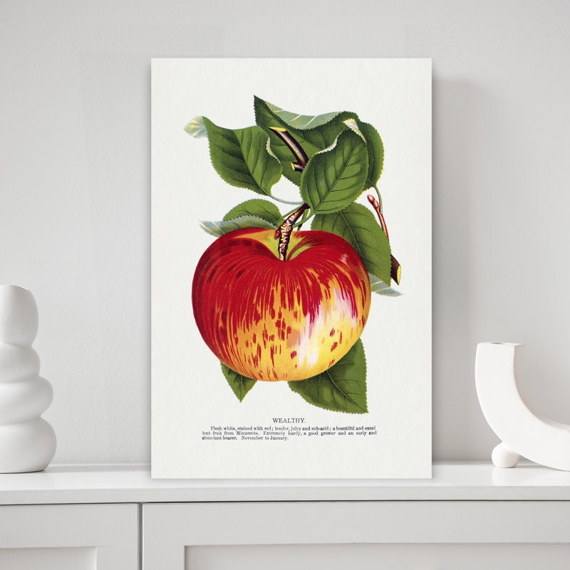 «Wealthy Apple Lithograph Abstract Retro Vintage Flower Landscape», art mural, H 18 po x l 12 po