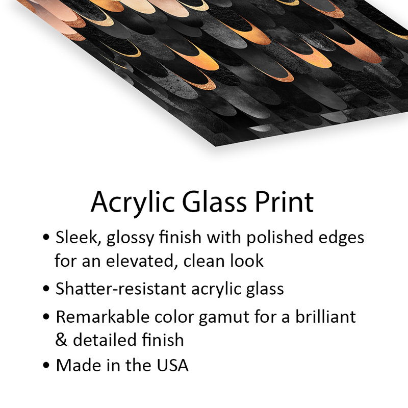 Plumes - cuivre et impression noire sur verre acrylique