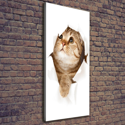Cat - Wrapped Canvas Print