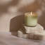Wild Honeysuckle Classic Candle-1389704508