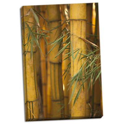 " Bamboo II " by Karyn Millet