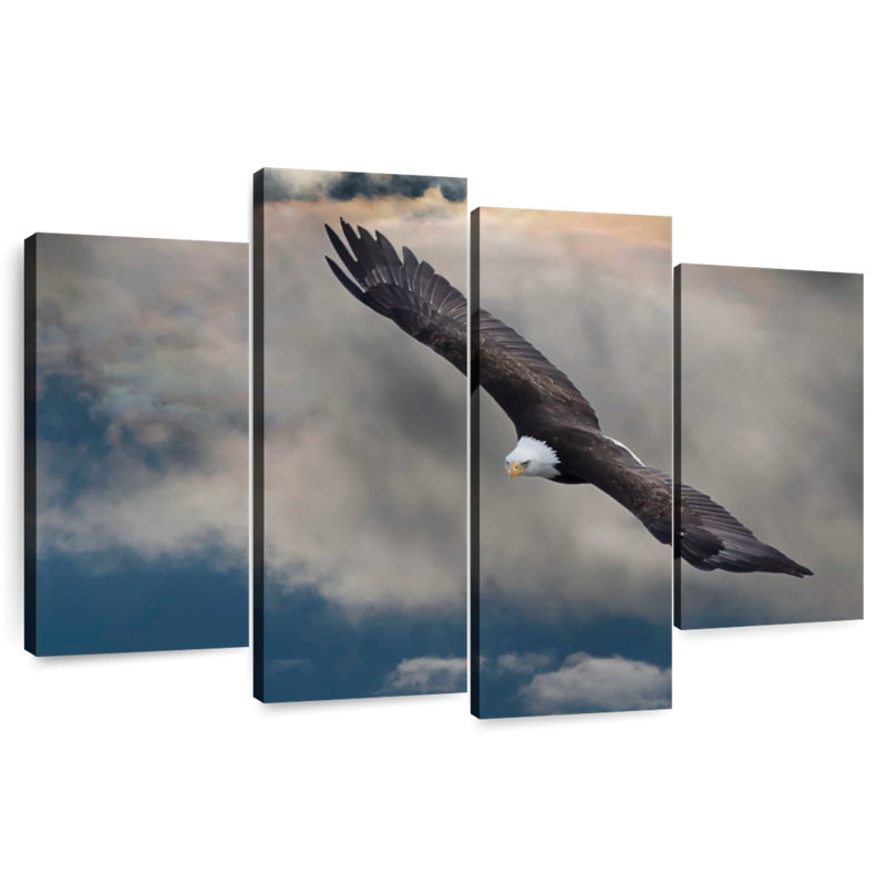 Brampt Soaring Eagle, 22" H x 36" W